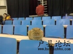abbr_27590d52df38c1c6818d3bc522b5c082.gif